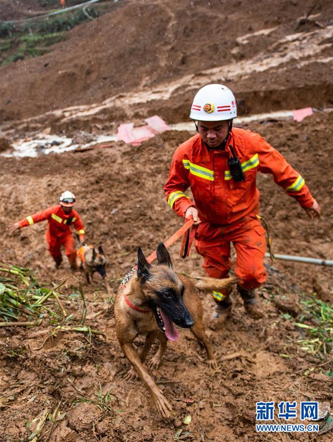 （新華全媒頭條·圖文互動）（4）有一絲希望，就盡百倍努力——貴州水城“7·23”特大山體滑坡72小時救援紀實