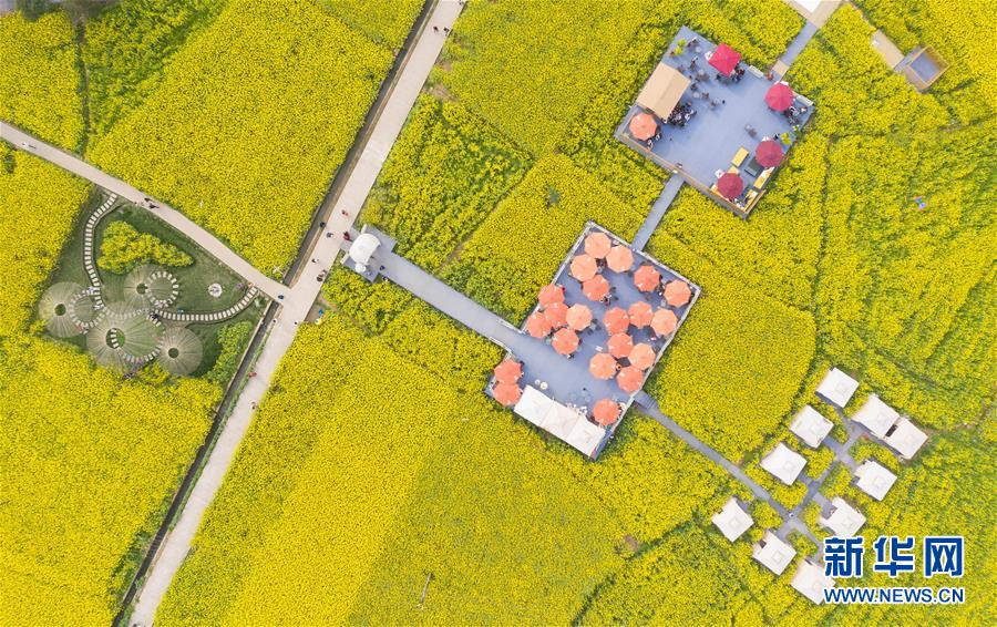 (壯麗70年·奮斗新時(shí)代——共和國(guó)發(fā)展成就巡禮·圖文互動(dòng))(13)治蜀往事激越 興川今朝豪邁——新中國(guó)成立70年四川發(fā)展巡禮