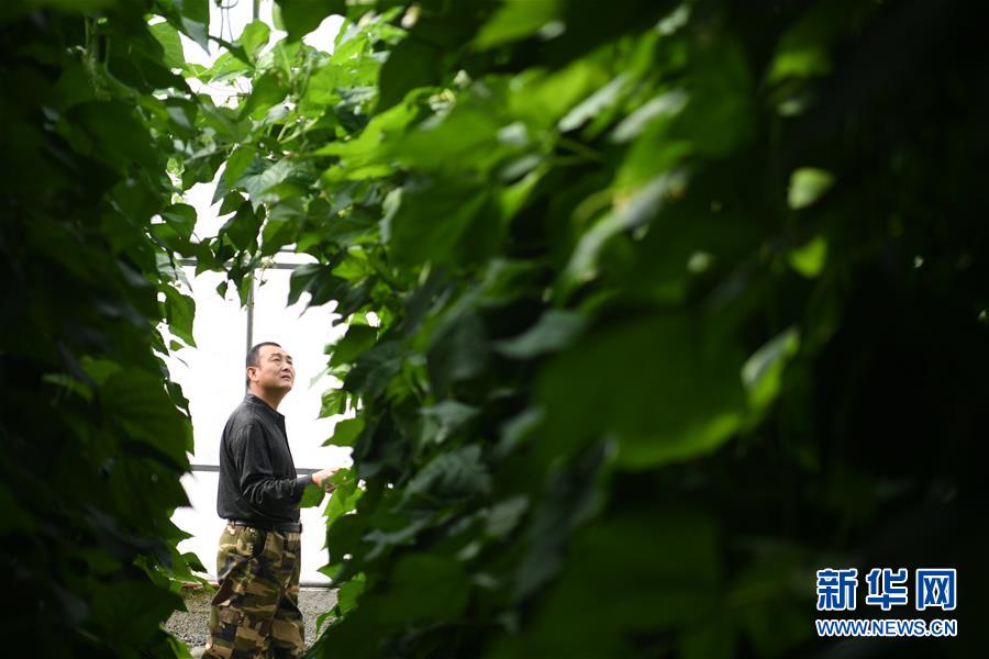 (壯麗70年·奮斗新時代——共和國發展成就巡禮·圖文互動)(7)以“綠色”身姿站上發展前沿——甘肅綠色轉型發展紀實