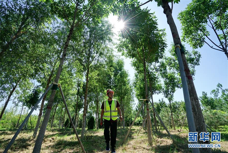 (壯麗70年·奮斗新時(shí)代·重溫囑托看變化·圖文互動(dòng))(1)雄安新區(qū):錨定高質(zhì)量發(fā)展 奮力書寫新時(shí)代答卷