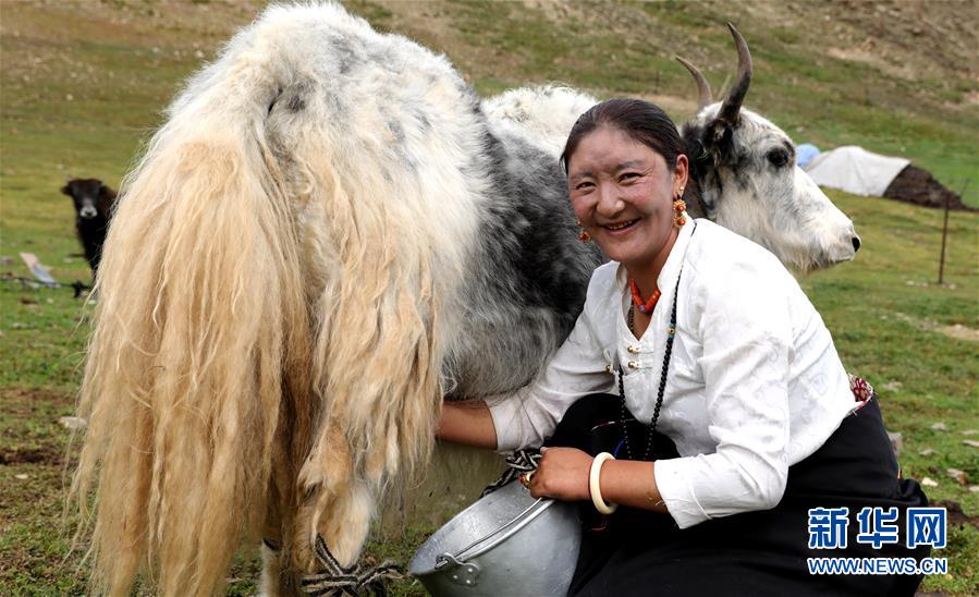 （決戰決勝脫貧攻堅&middot;圖文互動）（9）以保護促脫貧　以脫貧助保護&mdash;&mdash;長江源頭第一縣的生態發展選擇