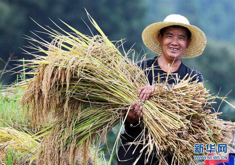 (全面深化改革·圖文互動)(2)“減”出效益 “融”出特色 “服”出動力——貴州推進農(nóng)村產(chǎn)業(yè)結(jié)構(gòu)調(diào)整觀察