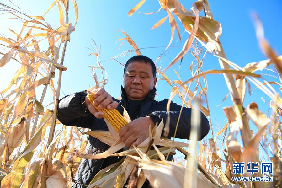 （在習(xí)近平新時代中國特色社會主義思想指引下&mdash;&mdash;新時代新作為新篇章&middot;總書記關(guān)心的百姓身邊事&middot;圖文互動）（3）一本&ldquo;村官&rdquo;日記里的扶貧路&mdash;&mdash;小故事里的大情懷之四