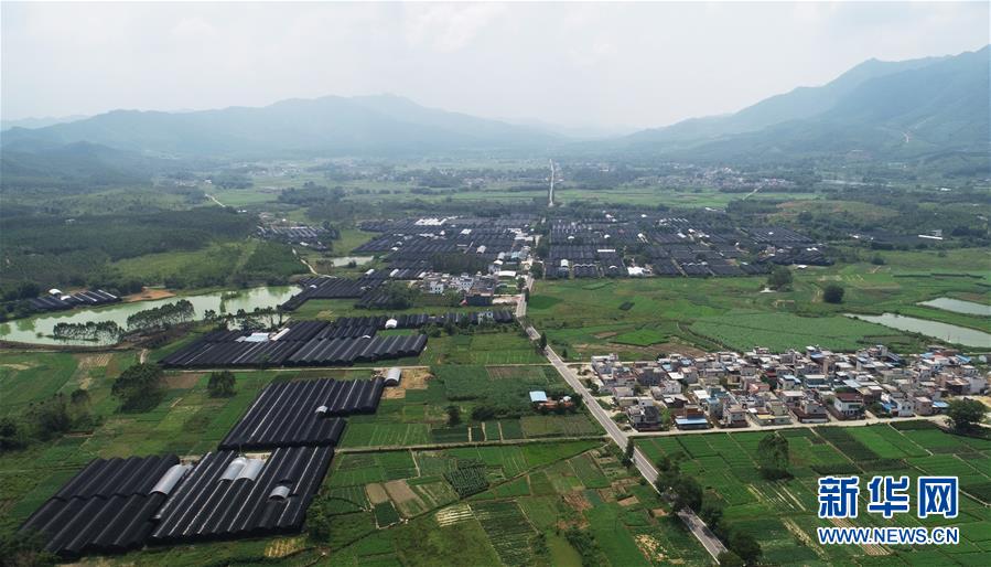 （在習近平新時代中國特色社會主義思想指引下——新時代新作為新篇章·總書記關(guān)心的百姓身邊事·圖文互動）（1）“科技秀才”給田野帶來新希望