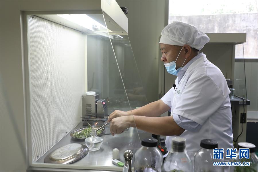 （在習近平新時代中國特色社會主義思想指引下——新時代新作為新篇章·總書記關(guān)心的百姓身邊事·圖文互動）（5）“科技秀才”給田野帶來新希望