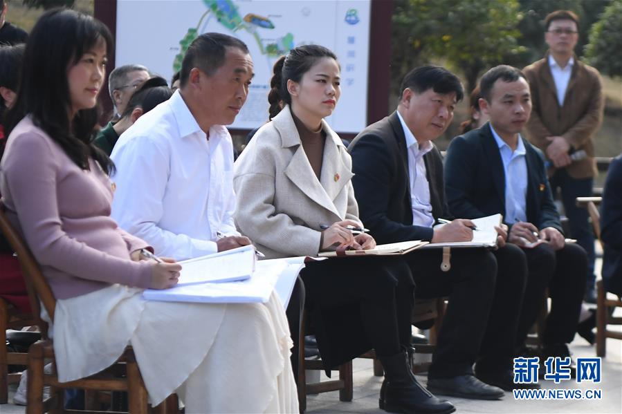 (四中全會精神在基層·圖文互動)(4)學習貫徹黨的十九屆四中全會精神中央宣講團在湖南宣講