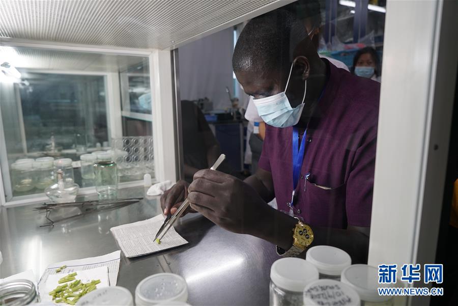 (在習近平新時代中國特色社會主義思想指引下——新時代新作為新篇章·總書記關(guān)切開放事·圖文互動)(8)來中國“學種地”的“洋學生”