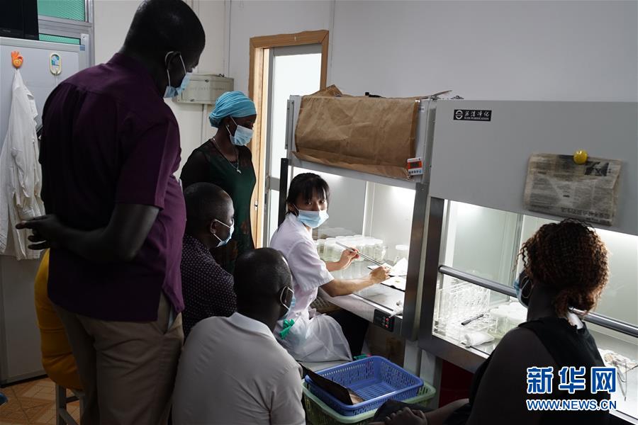 (在習近平新時代中國特色社會主義思想指引下——新時代新作為新篇章·總書記關(guān)切開放事·圖文互動)(7)來中國“學種地”的“洋學生”