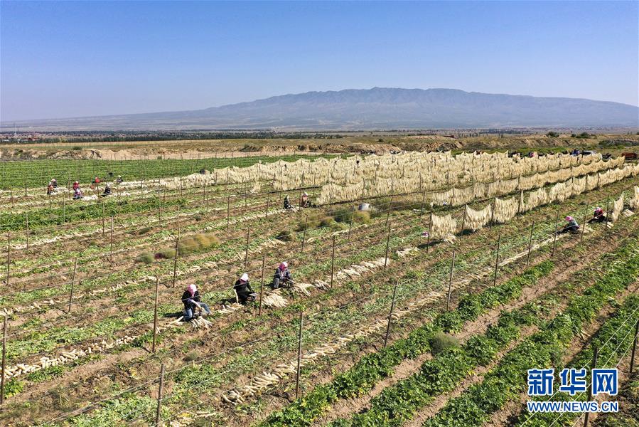 （新華全媒頭條&middot;圖文互動）（13）從水困到水興&mdash;&mdash;寧夏&ldquo;水樣本&rdquo;中的發展密碼