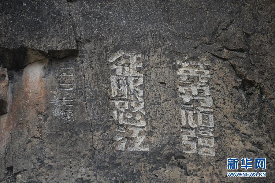 （新華全媒頭條&middot;圖文互動）（7）格桑花開滿天路&mdash;&mdash;寫在川藏公路通車65周年之際