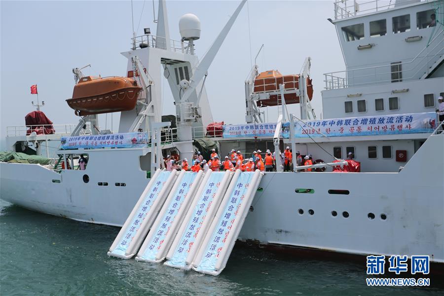 (新華全媒頭條·圖文互動)(3)溫故知新,開辟未來——第八次中日韓領導人會議解讀