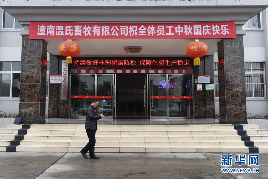 （在習近平新時代中國特色社會主義思想指引下——新時代新作為新篇章·總書記關(guān)切高質(zhì)量發(fā)展·圖文互動）（1）穩(wěn)住“一頭豬”、供好“一袋米”、配好“一籃菜