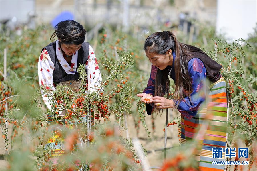 （新華全媒頭條&middot;兩會(huì)特別報(bào)道&middot;圖文互動(dòng)）（7）在推進(jìn)高質(zhì)量發(fā)展中創(chuàng)造廣闊空間&mdash;&mdash;從全國(guó)兩會(huì)看奮進(jìn)中國(guó)的發(fā)展機(jī)遇