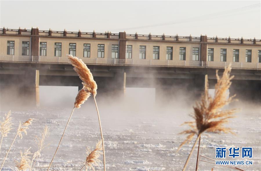 （環(huán)境）（4）黃河三盛公水利樞紐庫區(qū)出現(xiàn)“水煮黃河”景觀