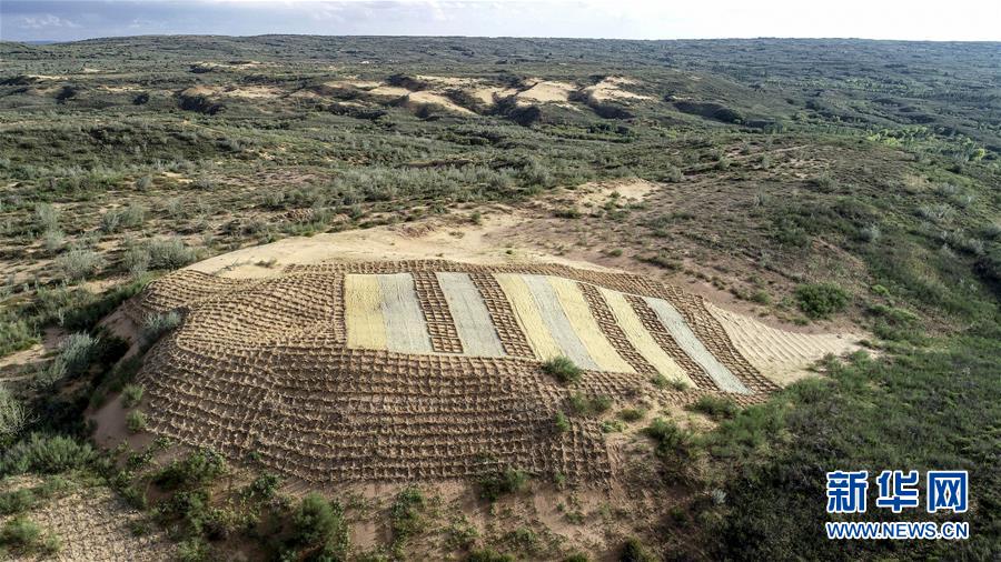 （在習近平新時代中國特色社會主義思想指引下&mdash;&mdash;新時代新作為新篇章&middot;總書記關切高質量發展&middot;圖文互動）（1）從一粒沙看不斷擴大的中國綠色版圖