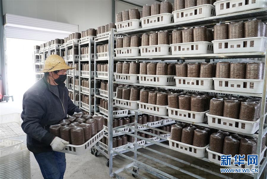 (決戰決勝脫貧攻堅·圖文互動)(1)秦巴山區:戰疫戰貧,兩場仗都要打贏