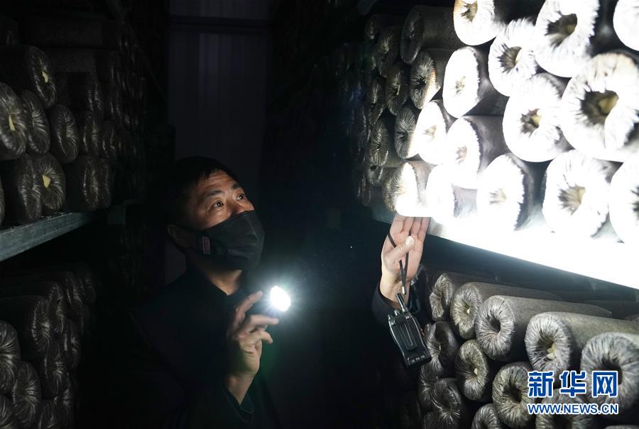 (決戰決勝脫貧攻堅·圖文互動)(4)秦巴山區:戰疫戰貧,兩場仗都要打贏