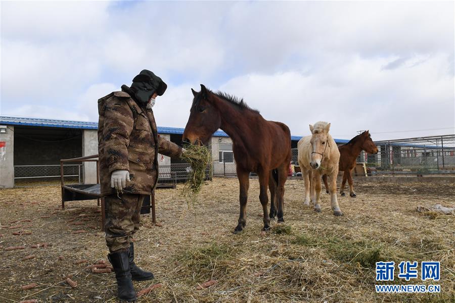 (聚焦疫情防控·圖文互動)(1)行進在鄉間的馬背巡邏隊