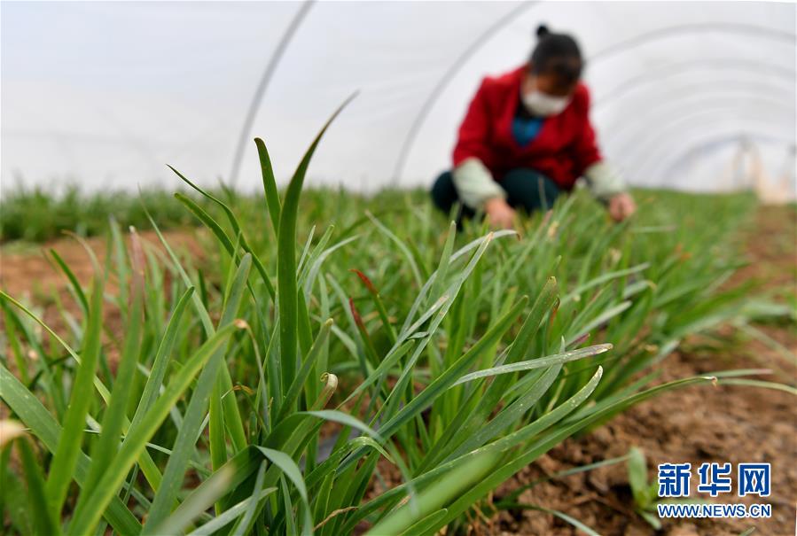 (圖文互動)(3)“春天到了,熟悉的生活正在慢慢回來”——陜西多地復產復工一線見聞