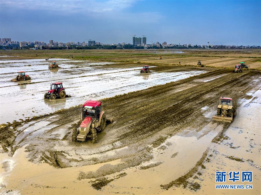 (圖文互動)讓“世界工廠”心不慌——廣東春耕生產見聞