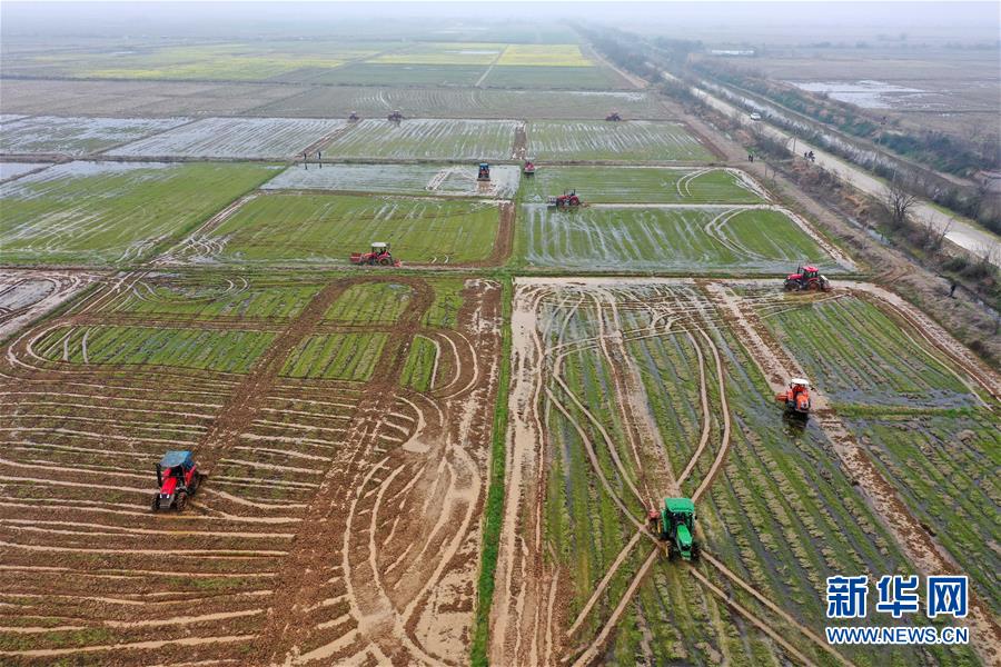 （抓好春耕備耕 穩住農業生產·圖文互動）（2）智能農機、“訂單”服務、“云端”種菜——來自江西的春耕“新事”