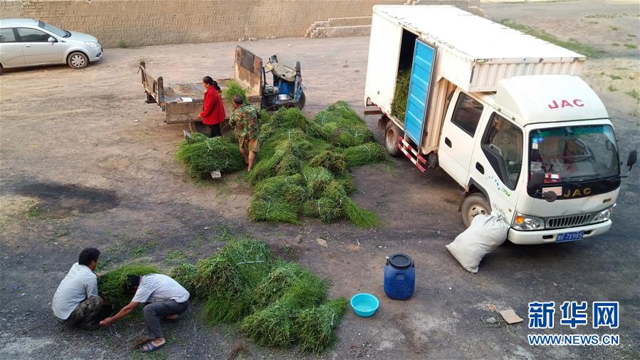 (決戰決勝脫貧攻堅·圖文互動)(2)三訪長征村