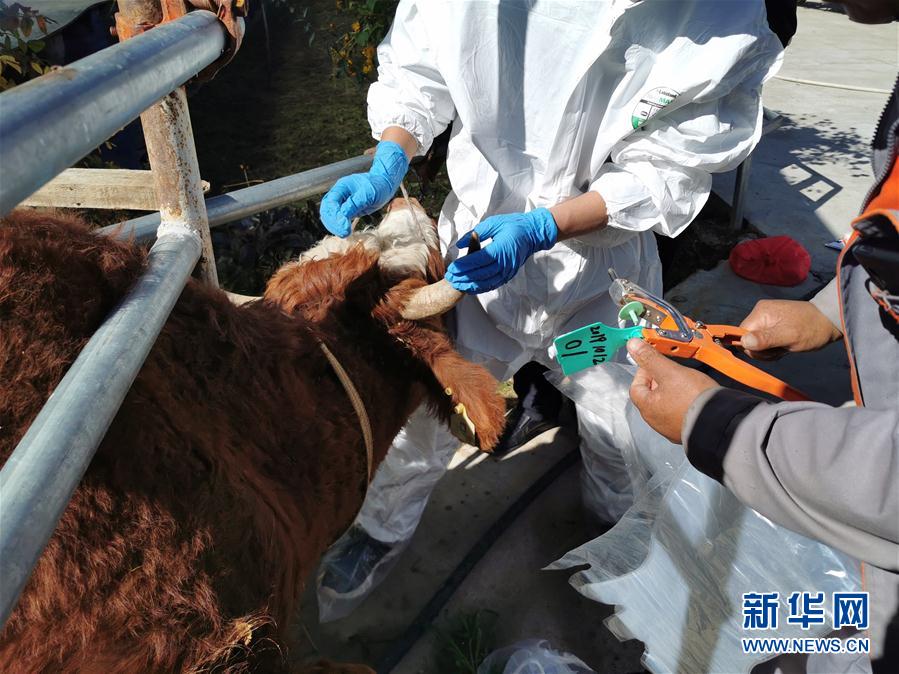 (決戰(zhàn)決勝脫貧攻堅·圖文互動)(1)脫貧“不暫停” 服務“不打烊”——天津通過“云端”幫扶為甘肅受援地區(qū)戰(zhàn)貧繼續(xù)助力