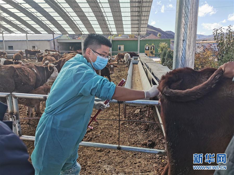 (決戰(zhàn)決勝脫貧攻堅·圖文互動)(2)脫貧“不暫停” 服務“不打烊”——天津通過“云端”幫扶為甘肅受援地區(qū)戰(zhàn)貧繼續(xù)助力