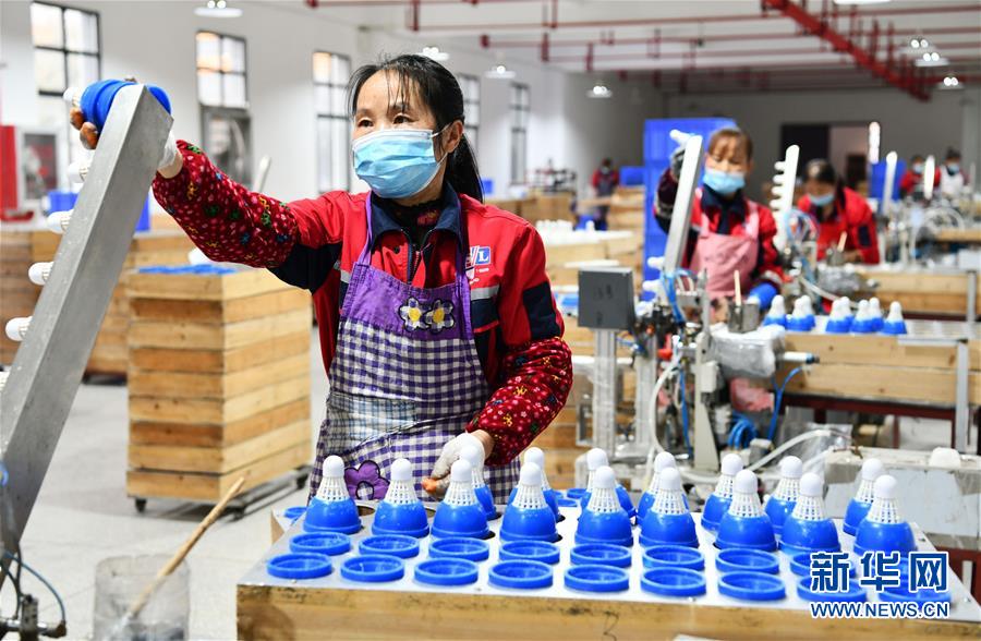 (決戰決勝脫貧攻堅·圖文互動)(6)天然“寶貝”促增收——貴州錦屏縣培育扶貧產業見聞