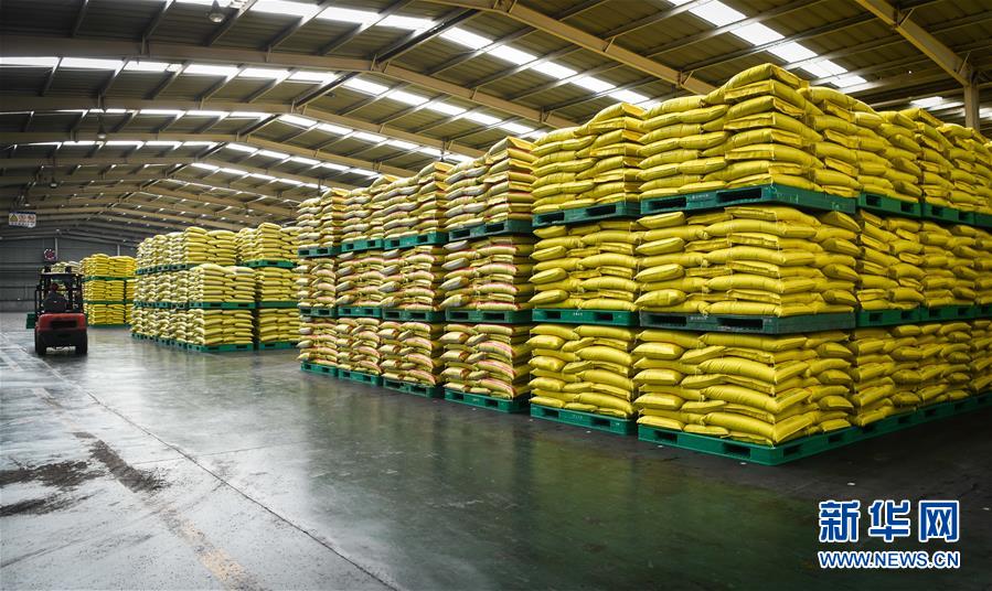 (新華全媒頭條·圖文互動)(3)在艱難中重啟 在陣痛中復蘇——湖北推動安全有序復工復產掃描