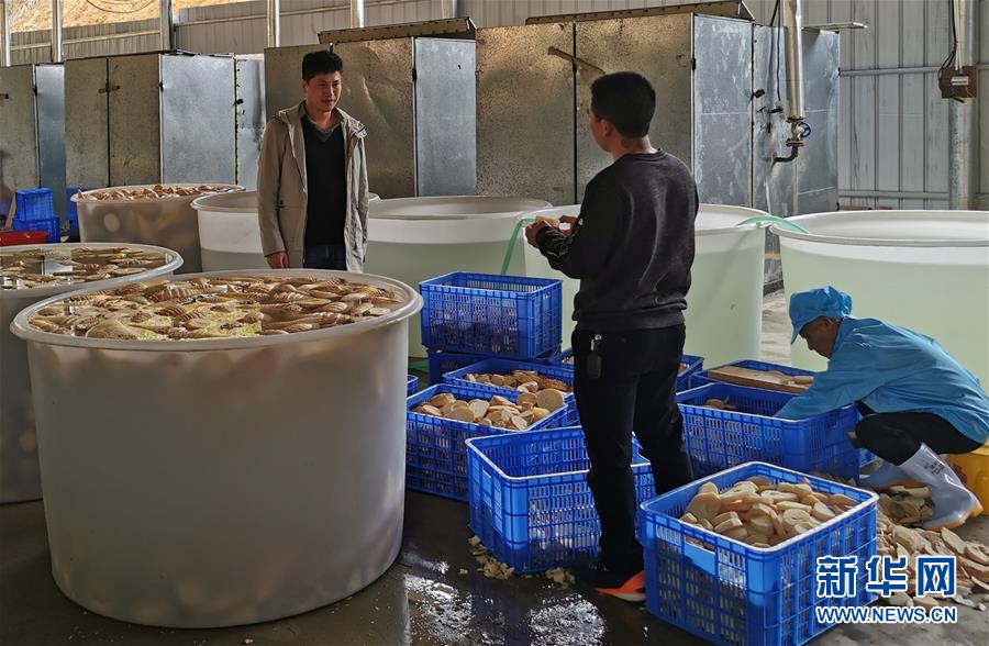 (決戰決勝脫貧攻堅·圖文互動)掛牌督戰,一個都不能少——江西確保剩余9.6萬貧困人口全部脫貧