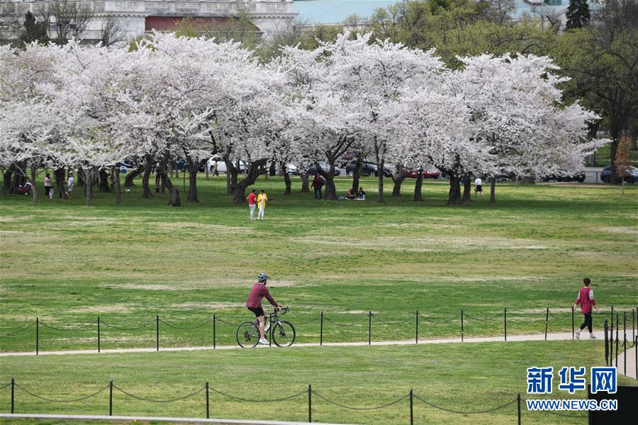 (國際疫情)(1)約翰斯·霍普金斯大學:美國新冠肺炎確診病例超10萬例