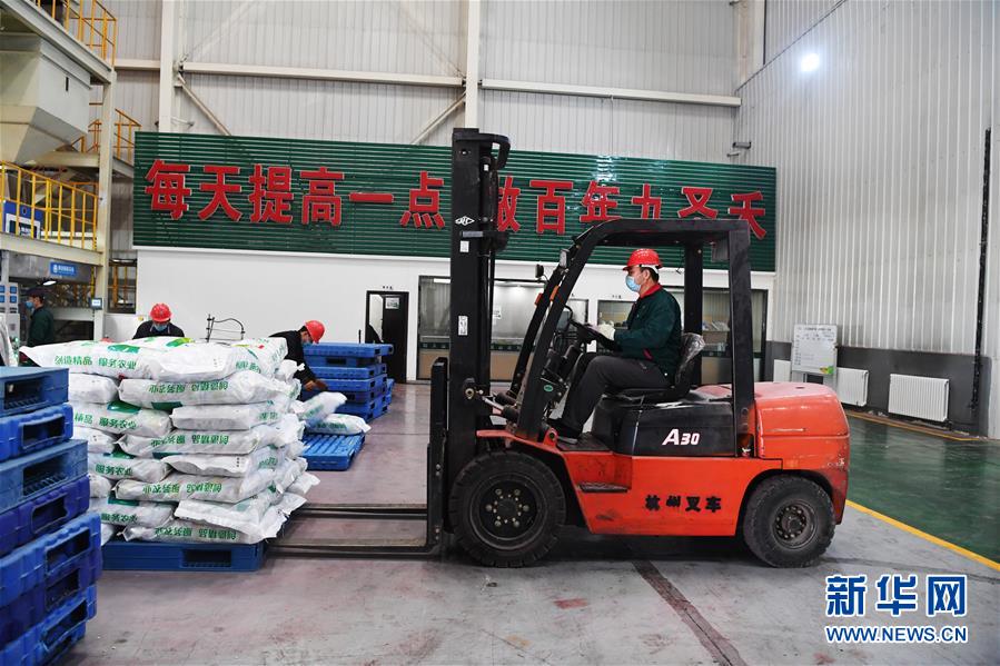 (抓好春耕備耕 穩住農業生產·圖文互動)(1)走向泥土是我們的終極夢想——一粒種子的自述