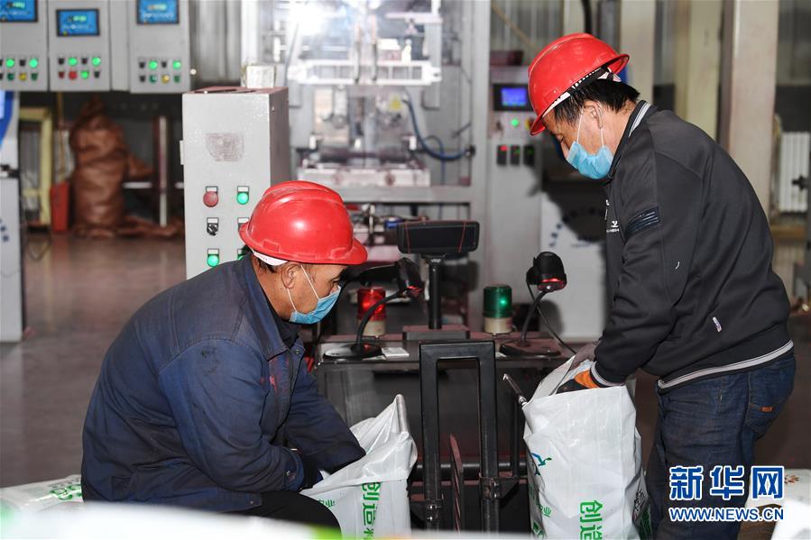 (抓好春耕備耕 穩住農業生產·圖文互動)(2)走向泥土是我們的終極夢想——一粒種子的自述