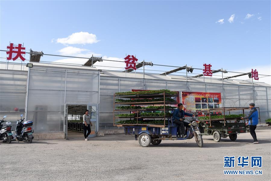 (決戰(zhàn)決勝脫貧攻堅·圖文互動)(9)決戰(zhàn)昆侖——新疆聚焦10個未摘帽縣展開深度貧困攻堅戰(zhàn)