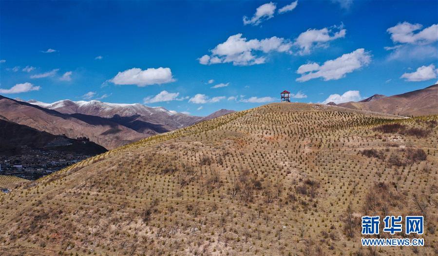 (新華全媒頭條·圖文互動)(6)三江之源見證中國奇跡——寫在玉樹地震10周年之際