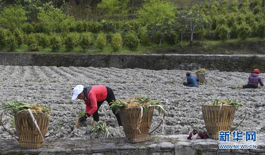 （圖文互動）（7）&ldquo;消失&rdquo;的小南海