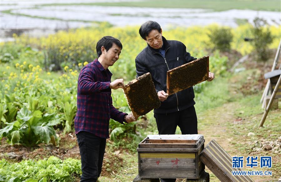 （決戰決勝脫貧攻堅·圖文互動）（2）一位農民的產業扶貧成績單 