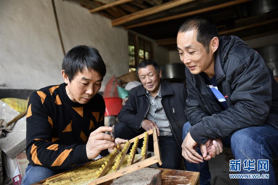 （決戰決勝脫貧攻堅·圖文互動）（3）一位農民的產業扶貧成績單 