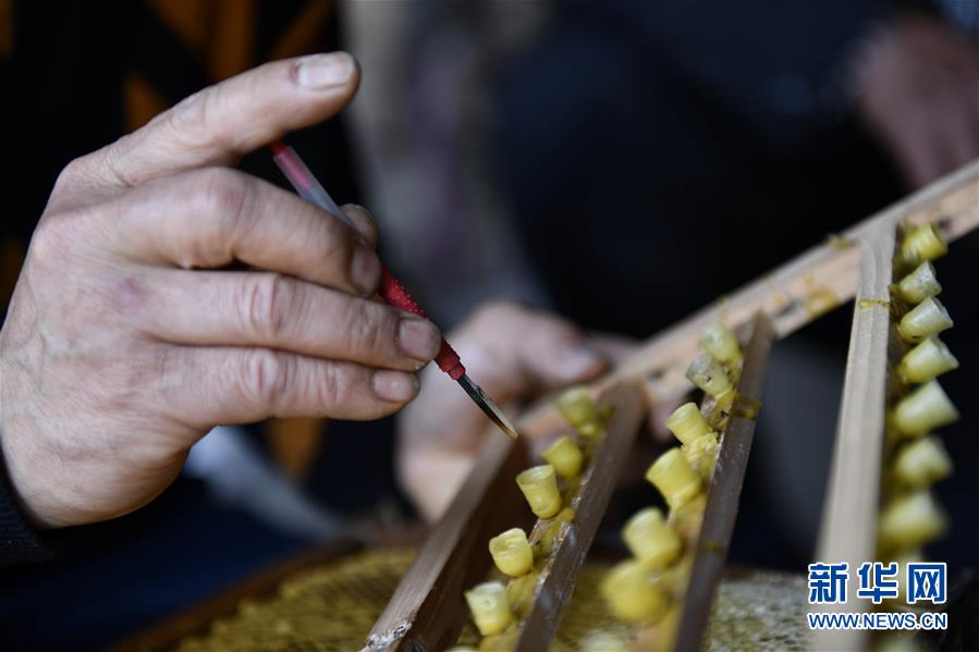 （決戰決勝脫貧攻堅·圖文互動）（4）一位農民的產業扶貧成績單 