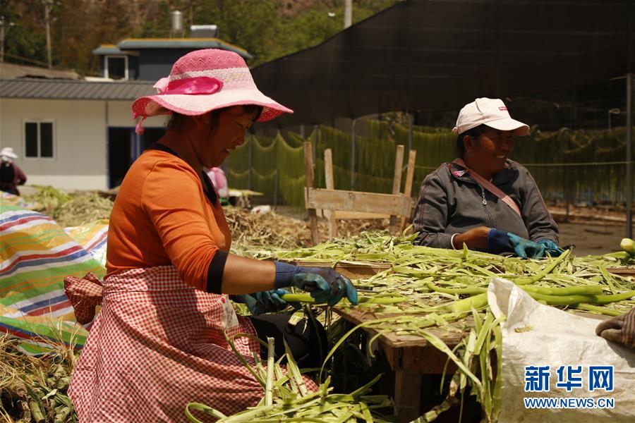 (在習近平新時代中國特色社會主義思想指引下——新時代新作為新篇章·習近平總書記關切事·圖文互動)(4)啃下最后的硬骨頭——脫貧攻堅掛牌督戰(zhàn)進行時