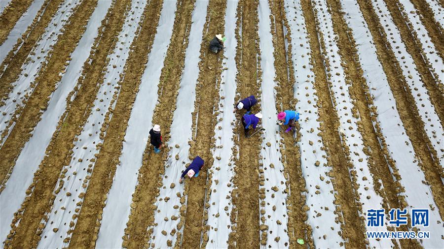 (在習近平新時代中國特色社會主義思想指引下——新時代新作為新篇章·習近平總書記關切事·圖文互動)(8)啃下最后的硬骨頭——脫貧攻堅掛牌督戰(zhàn)進行時