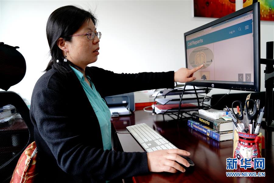 (圖文互動(dòng))(1)攻擊行為如何被大腦控制?科學(xué)家在小鼠大腦中發(fā)現(xiàn)“調(diào)節(jié)開關(guān)”