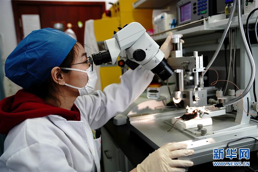 (圖文互動(dòng))(2)攻擊行為如何被大腦控制?科學(xué)家在小鼠大腦中發(fā)現(xiàn)“調(diào)節(jié)開關(guān)”