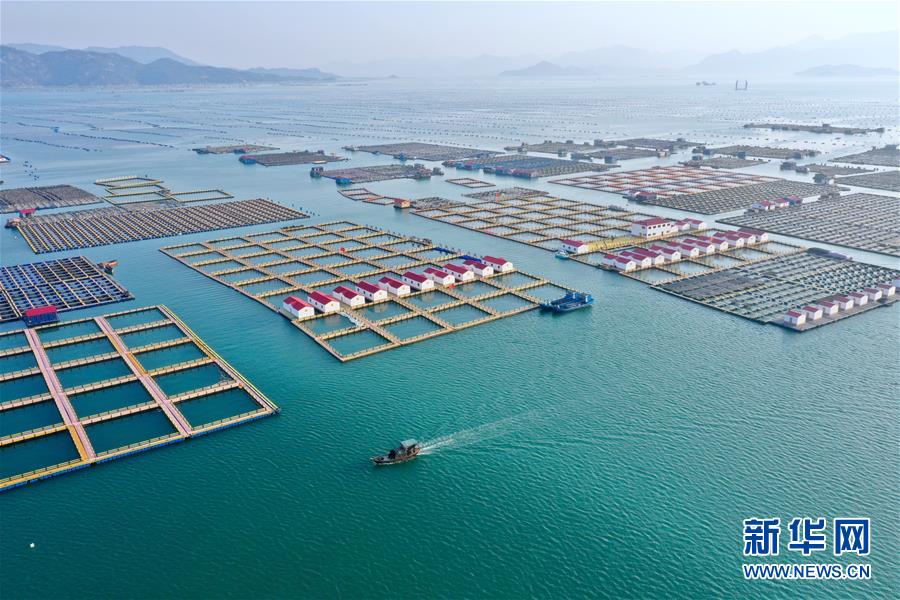 (新華全媒頭條·圖文互動(dòng))(10)永遠(yuǎn)的夢(mèng)想 永恒的追求——寫在北京世園會(huì)開幕一周年之際