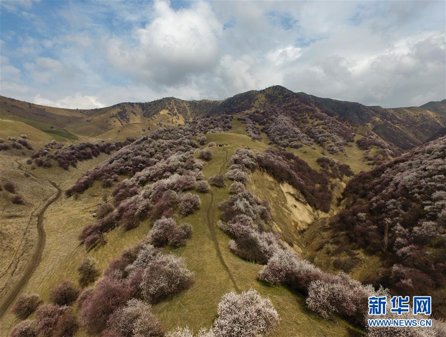 （圖文互動）（7）&ldquo;疫&rdquo;去客來會有時(shí)&mdash;&mdash;新疆伊犁河谷旅游市場漸暖見聞