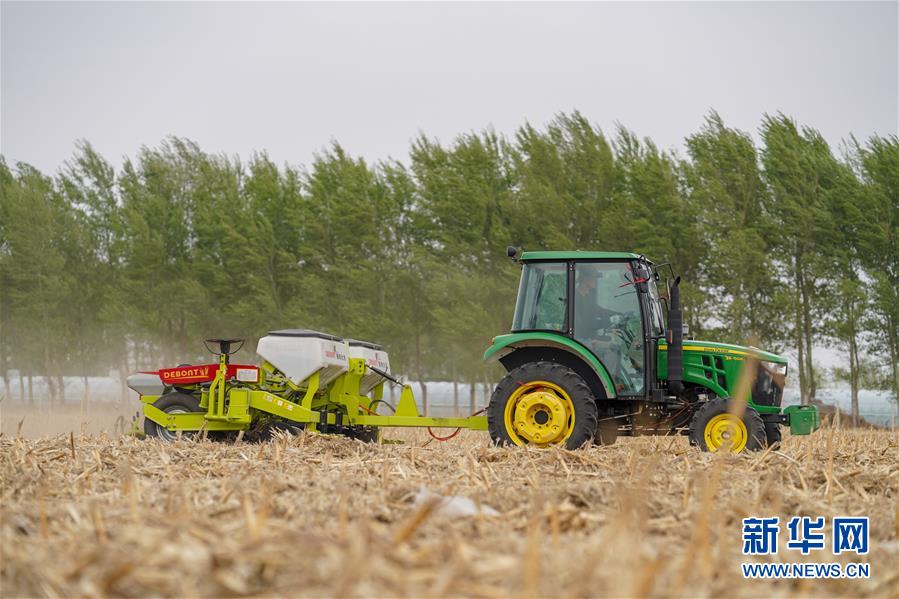(在習近平新時代中國特色社會主義思想指引下——新時代新作為新篇章·習近平總書記關切事·圖文互動)(9)讓農民挑上“金扁擔”——農業現代化的生動實踐掃描