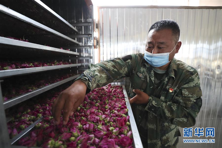 (熱點(diǎn)鮮報(bào)·走向我們的小康生活·圖文互動(dòng))(2)你沒(méi)聽(tīng)過(guò)的伊瑪堪——“北大倉(cāng)”里話(huà)小康之三