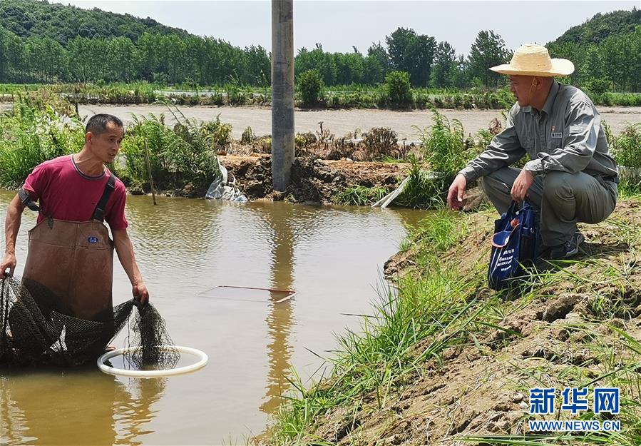 (決戰決勝脫貧攻堅·圖文互動)(3)駐村第一書記當起“蝦農”“牛倌”