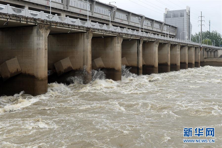 (圖文互動)(1)“以萬全準備防萬一發生”——安徽沿淮地區防汛備汛見聞